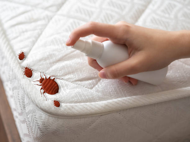Best Best Pest Control Companies  in Muskego, WI